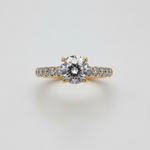 Eternal Lumière Solitaire